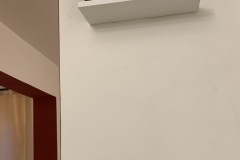 IMG_7686